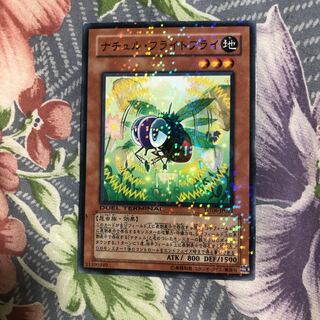 ナチュル・フライトフライ ノーマル JP021 1枚