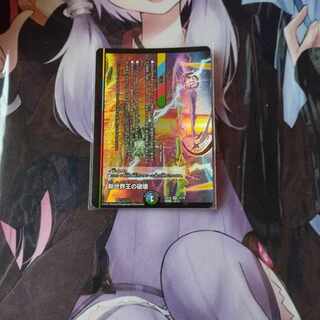 Destruction of the New World King｜New World Order (lower) VR 12/75