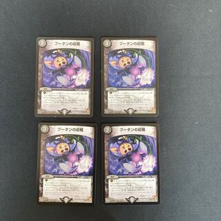 DM Bhutan Harvest Common, set of 4 (1)