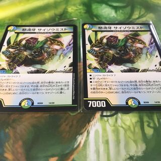 サイゾウミスト 2枚セット