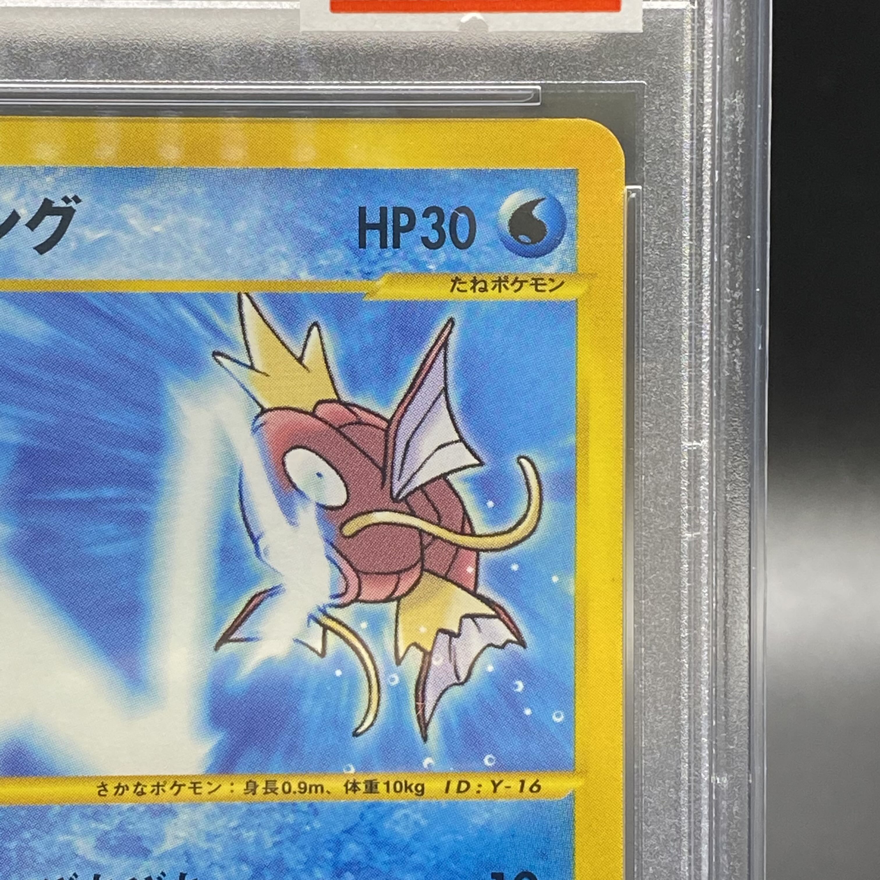 PSA10 Magikarp Web 1ED 035/048