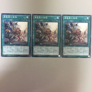 真竜凰の使徒 2