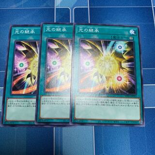 Inheritance of Light Normal JP043