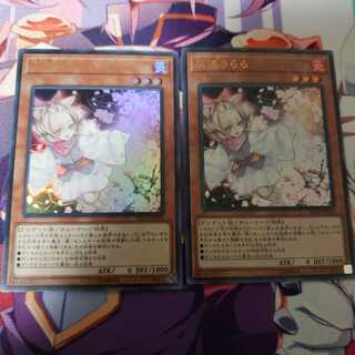 灰流うらら(ウルトラ) 2枚セット