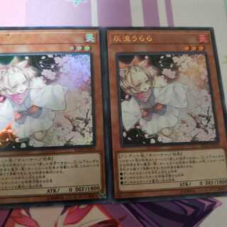 灰流うらら(ウルトラ) 2枚セット