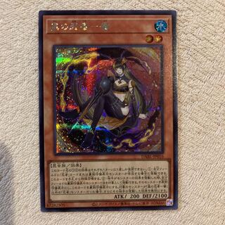 Bashara-san's exclusive Mushi-ninja Honey Secret