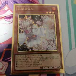 灰流うらら(プレゴル) 1枚