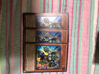 ダイナレスラーパンクラトプス2枚