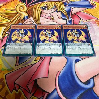 月光虎 ノーマル JP013 1枚