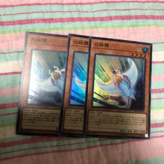 ホワイト　スティングレイ　3枚