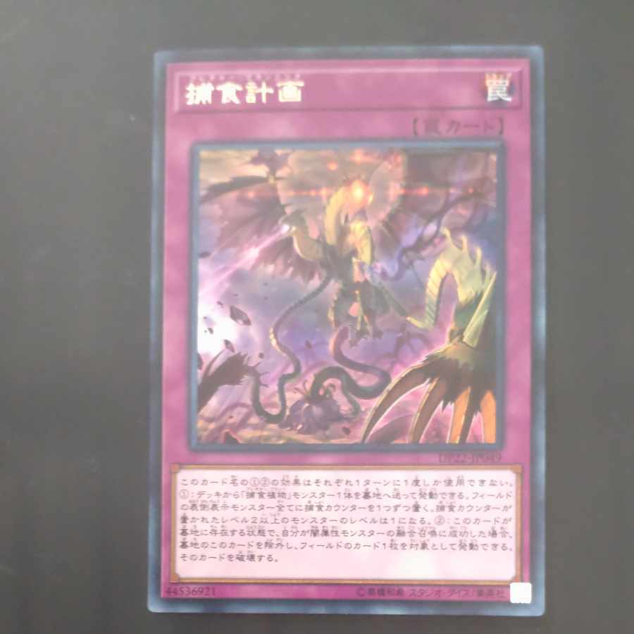 Predaplanning rare JP049 [Mokurindo
