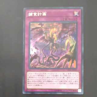 Predaplanning rare JP049 [Mokurindo