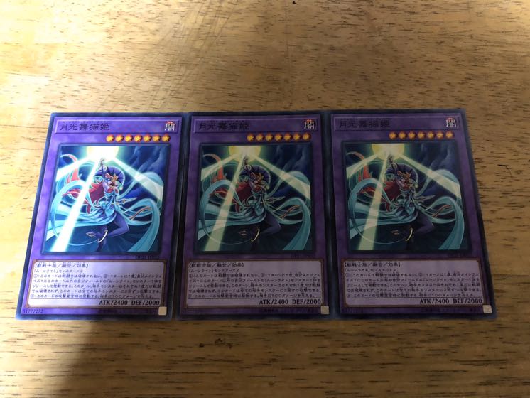 【ダボハゼ】月光舞猫姫