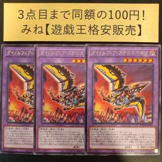Dynorphia stealthbegia rare JP039