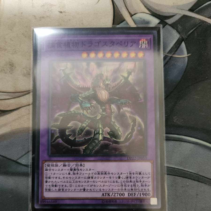 Predaplant Dragostapelia Normal JP053