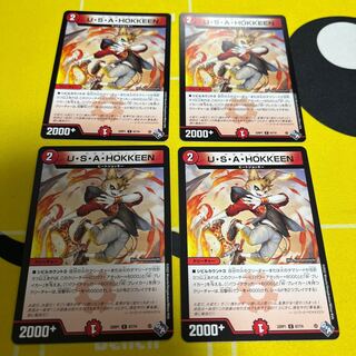 U.S.A. HOKKEEN C 67/74