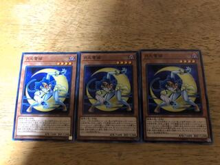 【ダボハゼ】月光蒼猫