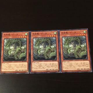 天威龍 ナハタ 3枚