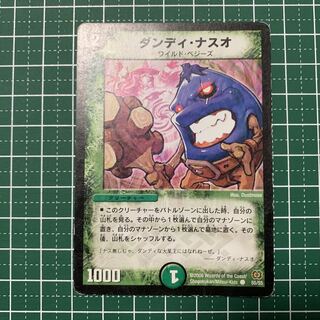 Dandy Naso C 17/17 1 piece