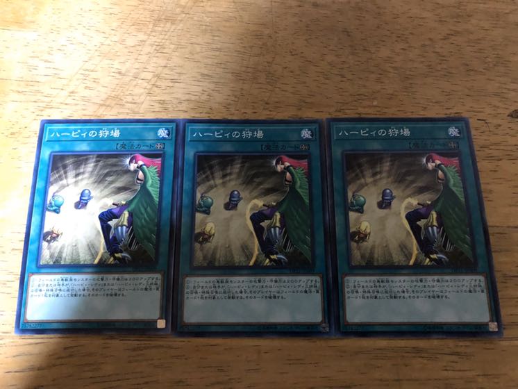 【ダボハゼ】ハーピィの狩場