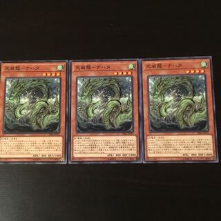 天威龍 ナハタ 3枚