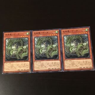 天威龍 ナハタ 3枚