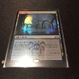 MtG 湿った墓　日語フォイルfoil