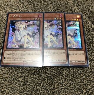 灰流うらら シク 9枚