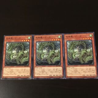 Tenwei Dragon Nahata 3 pieces