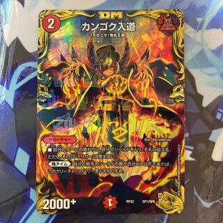 カンゴク入道 金トレジャー SP1/SP6の通販 土日祝休@magi公式