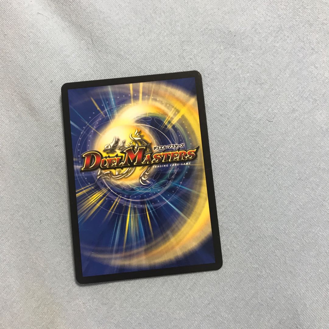 Chain of Tomorrow Hayabusa Twin SR S5/S11