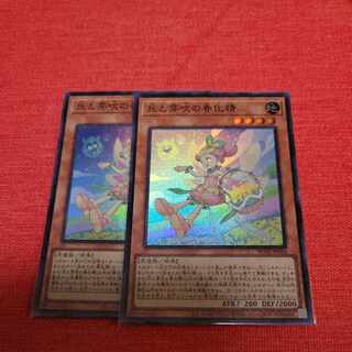 丘と芽吹の春化精 スーパーレア JP016