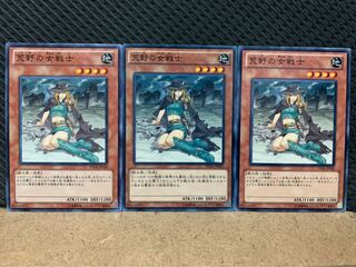 【ぽぽたん】遊戯王 8917 荒野の女戦士 3枚 ノーマル