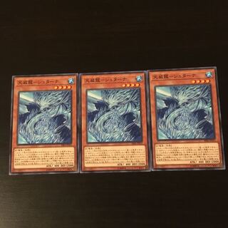 天威龍 シュターナ   3枚