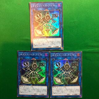 遊戯王　レアコレ　サクリファイス・アニマ　3枚