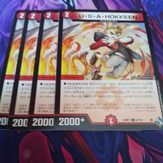 U.S.A. HOKKEEN C 67/74