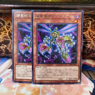 No.302 P屋　捕食植物ビブリスプ 【レア】