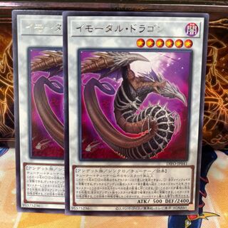 No.880 P屋　イモータル・ドラゴン 【レア】