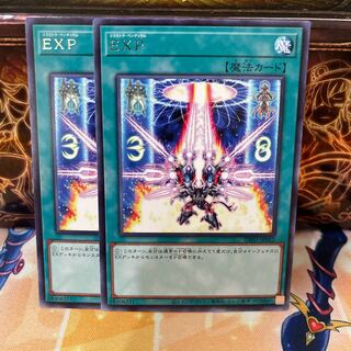 No.854 P屋　EXP 【レア】