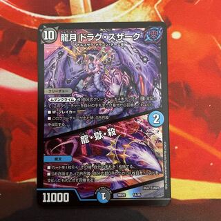 Dragon Moon Drag Suzaku｜Dragon, Hell, Kill 14/25