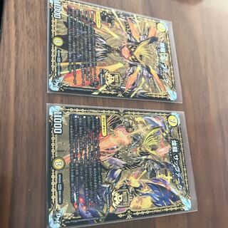 煌龍 サッヴァーク 2枚セット