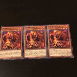 Tenwei Dragon Manila 3 sheets