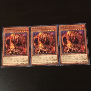 Tenwei Dragon Manila 3 sheets