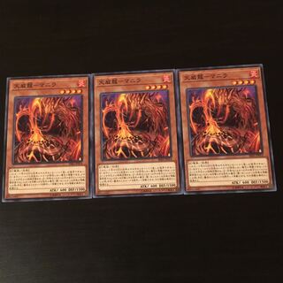 Tenwei Dragon Manila 3 sheets