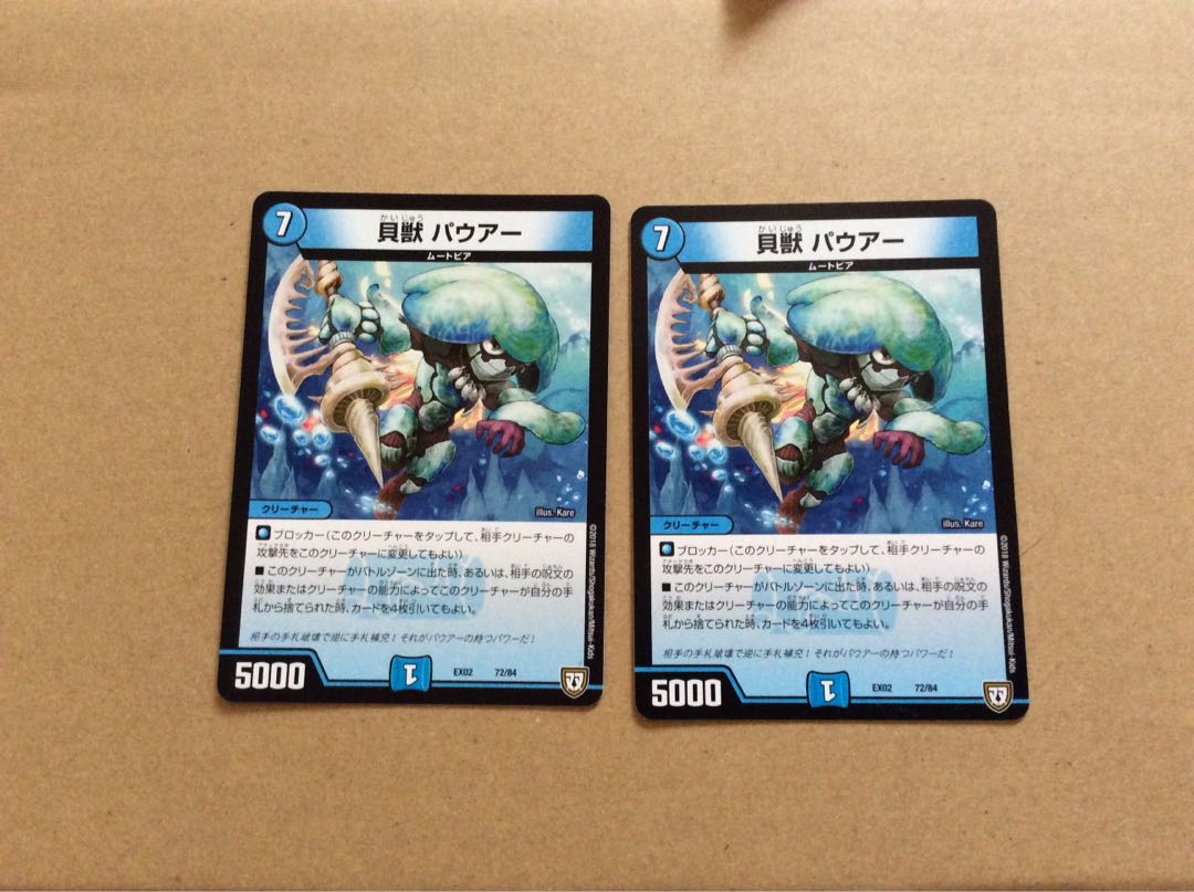 Set of 2 Shelled Beast Pauers