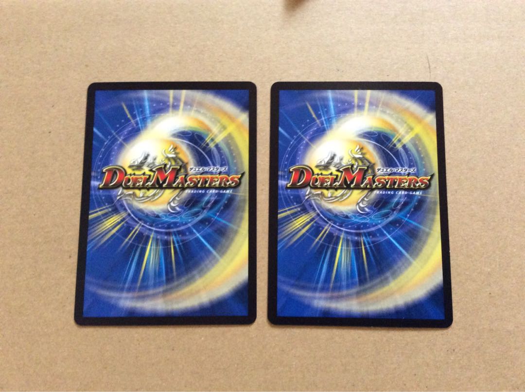 Set of 2 Shelled Beast Pauers