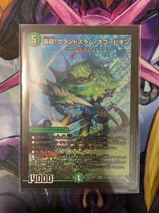 Roaring turn! Grand Slam Scorpion SR S8/S8