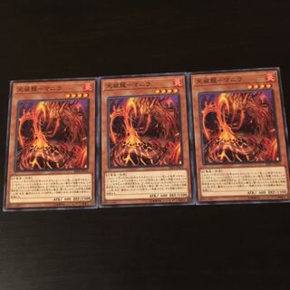 Tenwei Dragon Manila 3 sheets