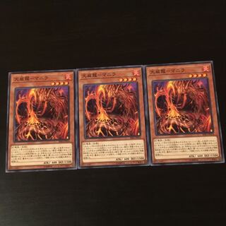 Tenwei Dragon Manila 3 sheets