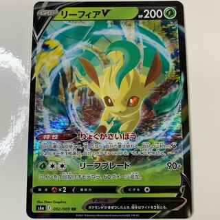 LeafeonV RR 002/069